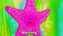 morning starfish