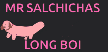 Mrsalchichas Long GIF - Mrsalchichas Long Boi GIFs