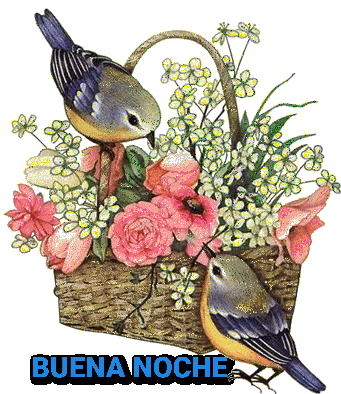Buena Noche Sticker - Buena Noche - Discover & Share GIFs