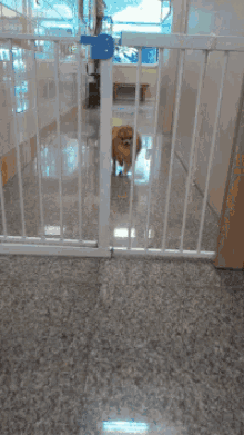 screw behind bars dog bye prison