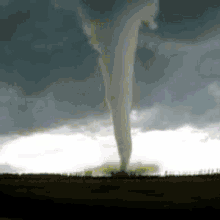 nonbinary tornado non binary nb