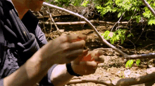 Picking Up Larvae Brie Larson Eats A Rhino Beetle GIF