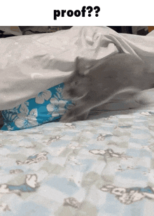 a picture of a cat on a bed with the words proof on the bottom