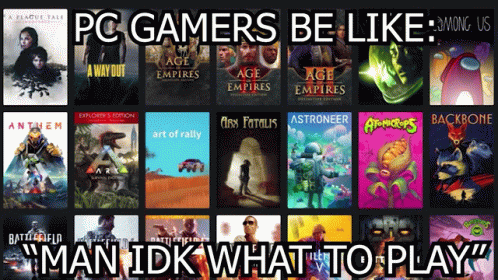 pc-gamers-too-many-games.gif