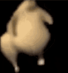 Chicken Meme GIF - Chicken Meme Walking GIFs