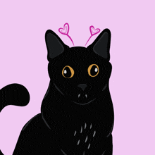 Happy Valentines Day Cat GIF - Happy Valentines Day Happy Valentines Cat GIFs