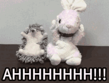 Ahh Bunny GIF - Ahh Bunny Cute GIFs