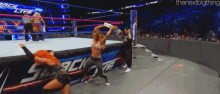 two women are wrestling in a wrestling ring with the nextbigthing written on the bottom right