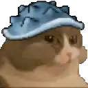 a close up of a cat wearing a hat .