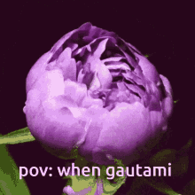 Gautami Gracetami GIF - Gautami Gracetami Flower GIFs