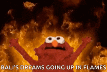 Elmo Fire GIF - Elmo Fire Flame GIFs