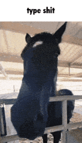 a black horse behind a fence with the words type shit on the bottom