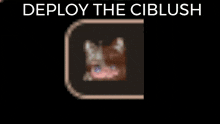 Deploy The Ciblush GIF - Deploy The Ciblush GIFs