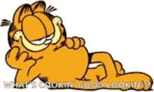 Garfield Cool GIF
