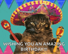 a cat is wearing a sombrero and holding a maraca and wishing you an amazing birthday