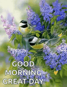 Great Day Birds GIF - Great Day Birds Good Morning GIFs