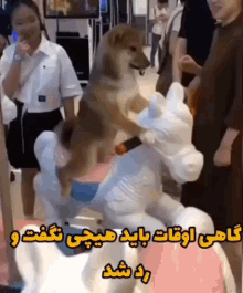 Iran Dog GIF - Iran Dog Persian GIFs