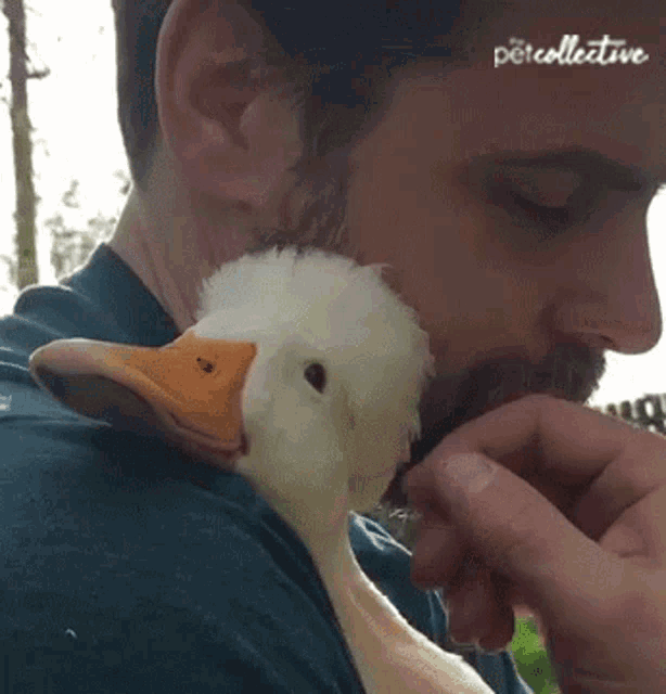 Duck The Pet Collective GIF - Duck The Pet Collective Lean GIFs