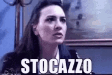 Stocazzo GIF - Stocazzo GIFs