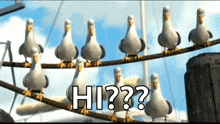 a group of seagulls are standing on a rope with the words hi written on it