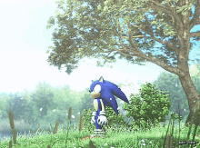 Sonic Sonic06 GIF - Sonic Sonic06 Flowers GIFs