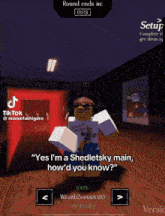 a screenshot of a video game that says " yes i 'm a sheddetsky main how 'd you know "