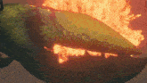 a painting of a whale with flames coming out of it