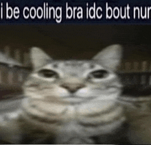 I Be Cooling Bruh Ion Care About Nun Meme GIF - I Be Cooling Bruh Ion Care About Nun Meme Cat GIFs