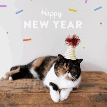 happy new year gatto