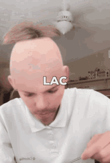 Lac Bald GIF - Lac Bald Chili GIFs