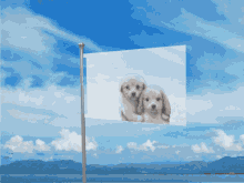 Yuyo Empire GIF - Yuyo Empire Flag GIFs