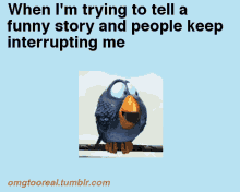 Trying To Be Funny Interruptions GIF - Trying To Be Funny Interruptions Bird GIFs