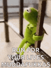 kermit the frog is sitting on a railing holding onto a railing and saying `` run for your lives muddafukkas ''