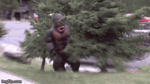 Gorilla Costume GIF - Gorilla Costume Run GIFs