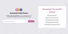 a youtube profile picture downloader is a tool or application that lets you easily download the profile picture ( avatar of any youtube channel )