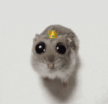 Princess Mouse GIF - Princess Mouse GIFs