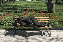 a man is sleeping on a park bench with a can of coca cola on the ground