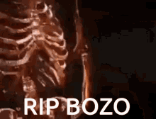 skeleton bozo