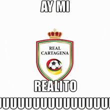 Real Cartagena Ay Mi Realito GIF - Real Cartagena Ay Mi Realito Auuuu GIFs