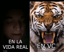 a picture of a tiger next to a picture of a man with the words en la vida real on it