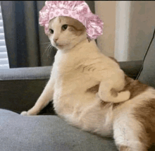 a cat is sitting on a couch wearing a pink shower cap .