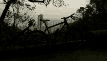 Bike Field GIF - Bike Field View GIFs