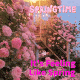 Spring Time GIF - Spring Time GIFs