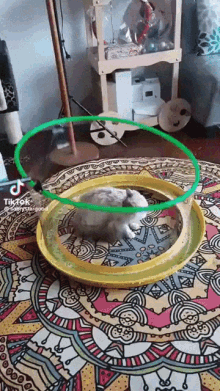 Sealed Away Forever Cat Trapped In Bubble GIF - Sealed Away Forever Cat Trapped In Bubble Trapped For Eternity GIFs
