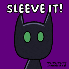 a very very very very lucky black cat