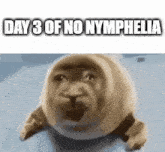 Nymphelia No Nymphelia GIF - Nymphelia No Nymphelia Day 3 GIFs