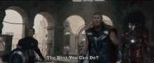 Avengers Age Of Ultron GIF - Avengers Age Of Ultron Best You Can Do GIFs
