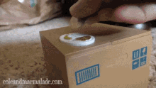 Cat Coins GIF - Cat Coins Coin Bank GIFs