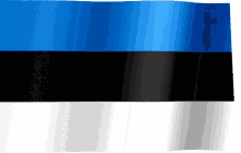 Estonia Flag GIF - Estonia Flag Flag Waver GIFs