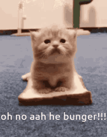 Oh No Aah He Bunger Silly GIF